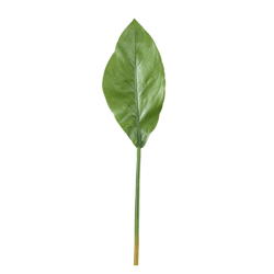 PTMD kunsttak Leaves groen 70 cm