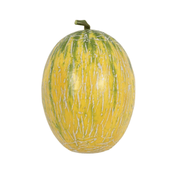 Decoratie fruit honingmeloen geel/groen 15 cm