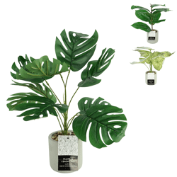 Kunstplant in cementen pot 40 cm 3 assorti