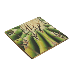 Coaster Cactus Echinocactus ingens wood 10 x 10 cm