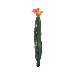 Cactus met bloem oranje/groen 23 cm