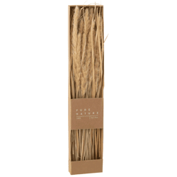 J-line gedroogd gras met pluimen in doos naturel 60 cm