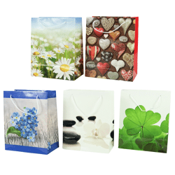 Geschenktas 25 cm 5 assorti