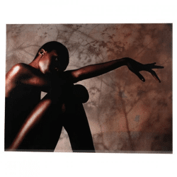 PTMD Glasmalerei Savanna von Monk limitierte Auflage 130 x 100 cm