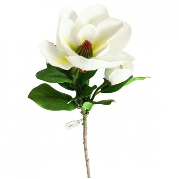 Countryfield Künstliche Blume Magnolie 2 Blumen weiß 100 cm