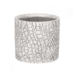 Flower Pot Arica Cylinder gray 11 cm