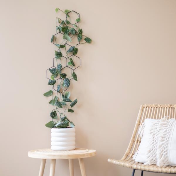 Wandregal Honig Metall schwarz L 60 cm