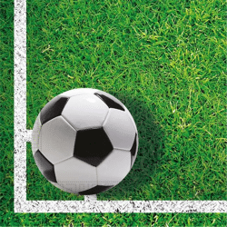 FOOTBALL PARTY - 20 Two-Ply Paper Napkins 33x33cm