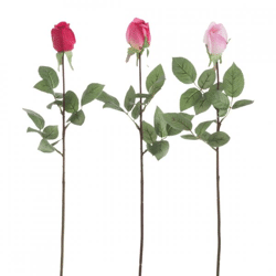 J-Line kunstbloem Roos 74 cm 3 assorti