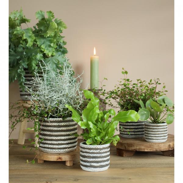 Flower pot series Raf gray 7.5 cm