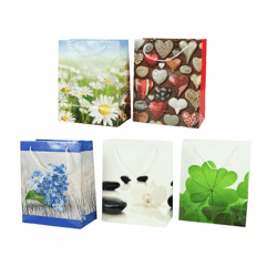 Gift bag 21,5 cm 5 assorted