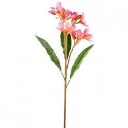 PTMD Kunstblume Plumeria rosa 70 cm