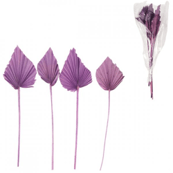 Bundle of dried palm leaf Spear purple 35 cm 4 pcs.
