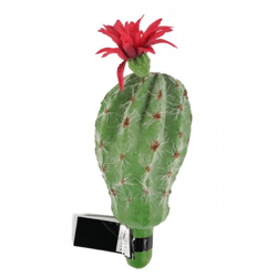 Bolcactus met bloem rood/groen 15 cm