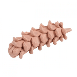 Statue Pine Cone terra 21 cm