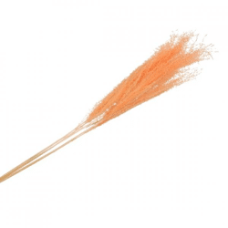 Künstlicher Zweig getrocknetes Silbergras Pfirsich XL orange 100 cm