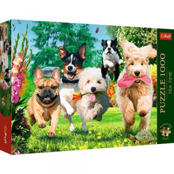 Hunde - Puzzle Premium Plus 1000 Teile