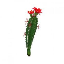 Cactus met bloem rood/groen 19 cm