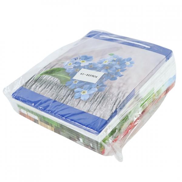 Gift bag 25 cm 5 assorted