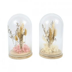 Droogbloemen in stolp 21 cm 2 assorti