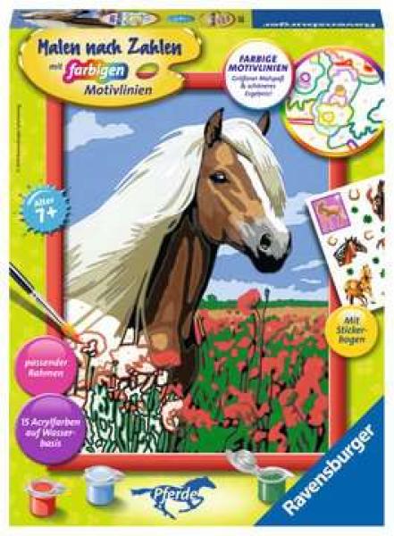 Haflinger - Malen nach Zahlen
