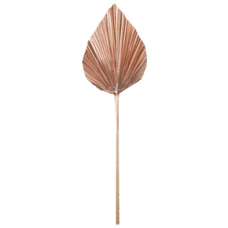 Light and Living leaf Plantae copper colored 90 cm
