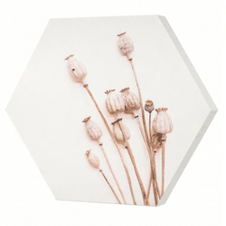 Wall decoration Poppy wood 58 cm