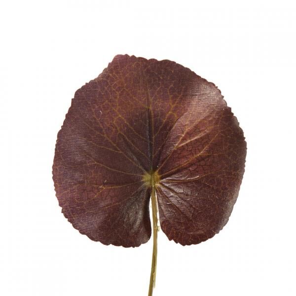 Countryfield Art Sheet Jay S 22 cm