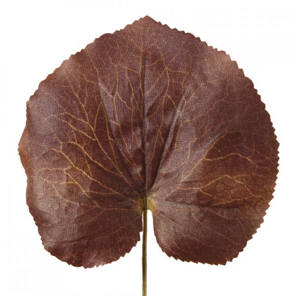 Countryfield Art Sheet Jay M 36 cm