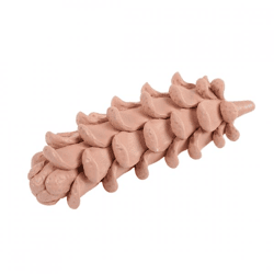 Beeld Pine Cone terra 21 cm