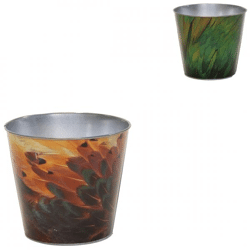 Bloempot Bob Feather S 11 cm 2 assorti