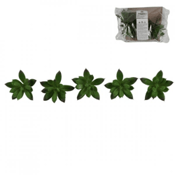 Kunstvetplant  7 cm set van 5