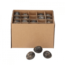 Quail eggs black 3 cm 60 pieces B-choice