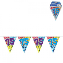 Folat mini vlaggenlijn 75 jaar 3 meter