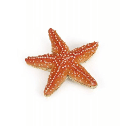 Papo 56050 - Play figure - Starfish