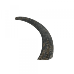 Hoorn buffel 25 cm