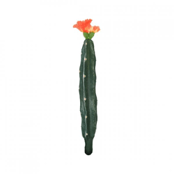 Kaktus mit Blüte orange/grün 23 cm