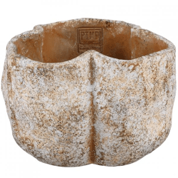 PTMD Blumentopf Roddie creme 20 cm