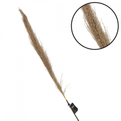 Parlane pampas gras naturel 120 cm