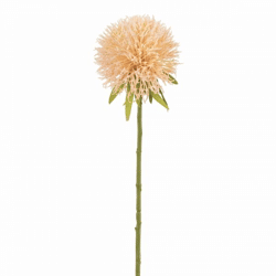 J-Line Kunstblume Allium Pfirsich 44 cm