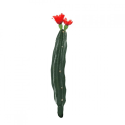 Kaktus mit Blüte rot/grün 23 cm