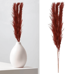 Pampas grass, brown, bunch of 3, approx. 140-160cmL