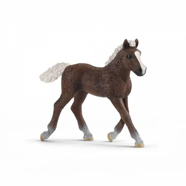 Schleich 13899 - Spielfigur, Schwarzw&auml;lder Fohlen