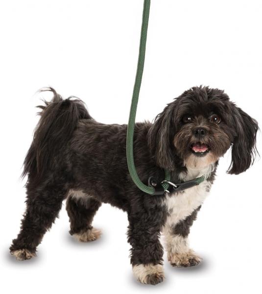 Bequeme Company of Animals 3-in-1 Hundeleine f&uuml;r stark ziehende Hunde Hundekurzleine Retrieverleine 170cm Gr&uuml;n