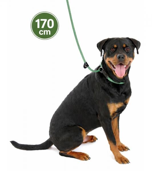 Bequeme Company of Animals 3-in-1 Hundeleine f&uuml;r stark ziehende Hunde Hundekurzleine Retrieverleine 170cm Gr&uuml;n