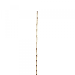 Parlane Künstlicher Zweig Bambus gelb/braun 100 cm