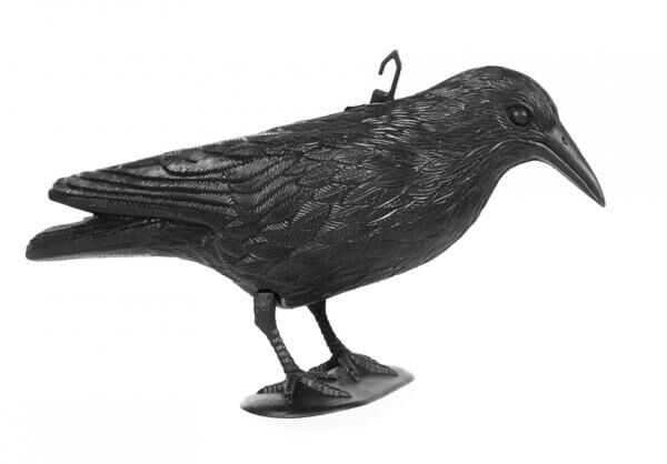 Taubenschreck "Kr&auml;he", schwarz