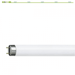 Philips TL-D-Röhre G13 58W 150 cm
