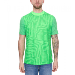 NIKE Gardien III Herren Torwart-Trikot mit Dri-FIT-Technologie nachhaltiges Fußball Sport-Shirt BV6714-398 Grün