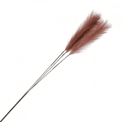 Countryfield Plume Zweig XL altrosa 130 cm